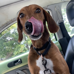 Fundraising Page: Kacey O’Kelly